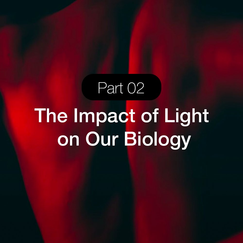 Lumaflex Red Light Therapy Training - The Impact of Light on Our Biology